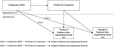 Collaborative HRM, climate for cooperation, and employee intra-organizational social ties in high-technology firms in China: A cross-level analysis